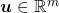 \boldsymbol{u}\in \mathbb{R}^m